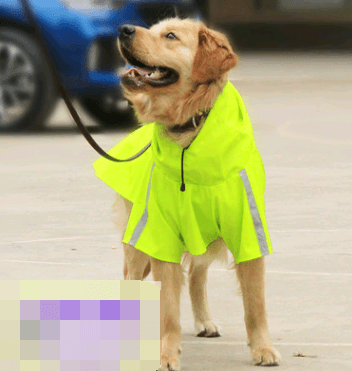 Waterproof Reflective Dog Raincoat