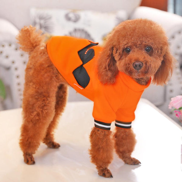 Halloween Pumpkin Dog Costume