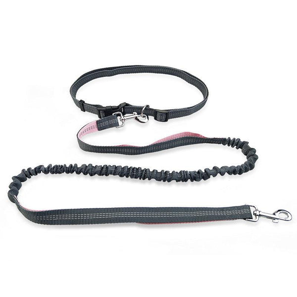 Ultimate Freedom Dog Leash: The Perfect Companion For Active Dogs