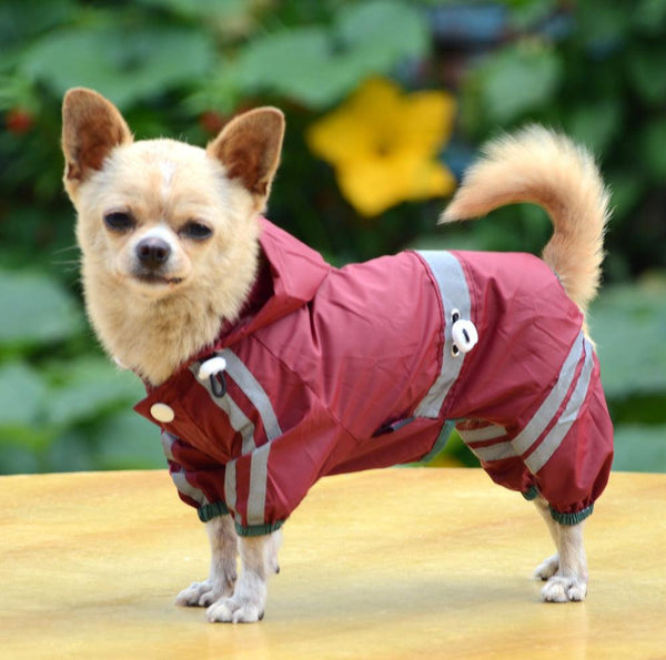Waterproof Reflective Dog Raincoat