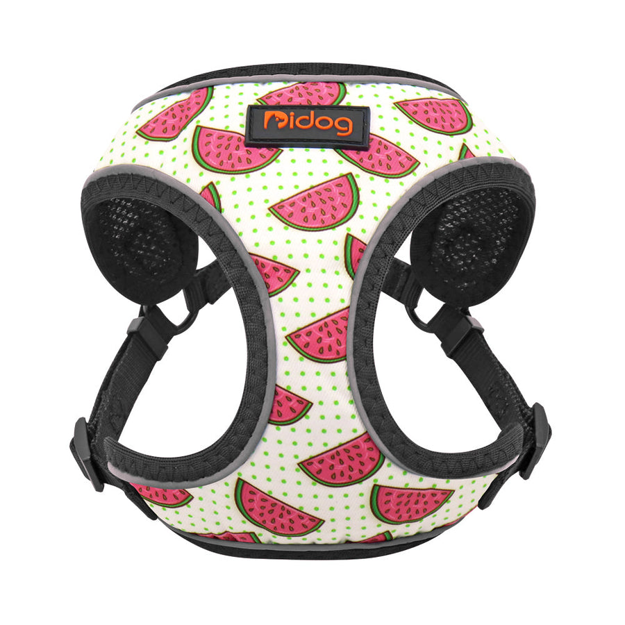 Dog Leash Vest