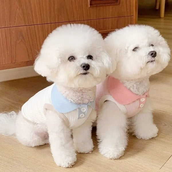 Summer Dog Polo Shirt for Small Dogs - view 2