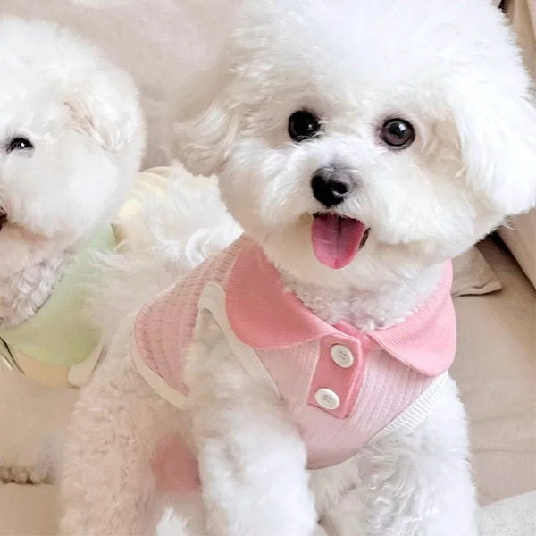 Summer Dog Polo Shirt for Small Dogs-6