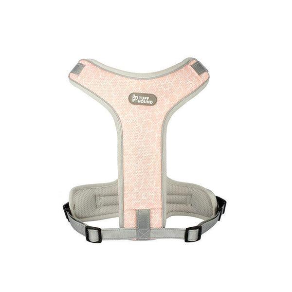 Adventure Paws Dog Harness And Leash Set