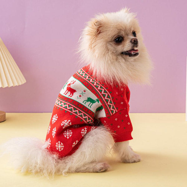 Holiday Knitted Dog Sweater
