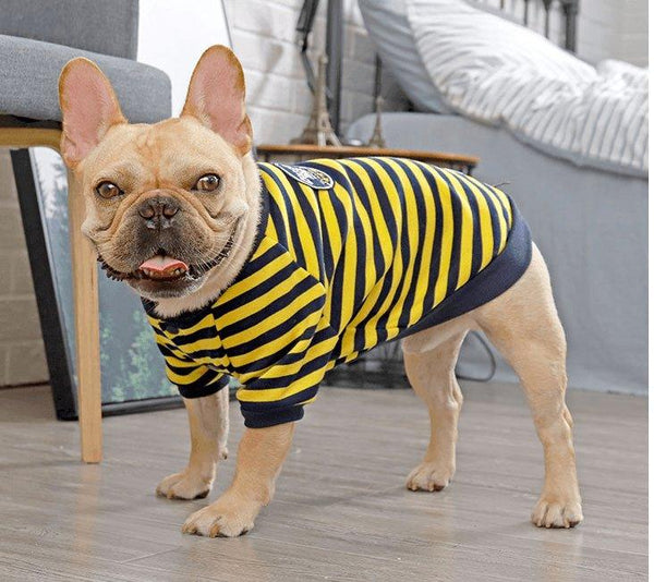 Cozy Canine Cotton Sweater
