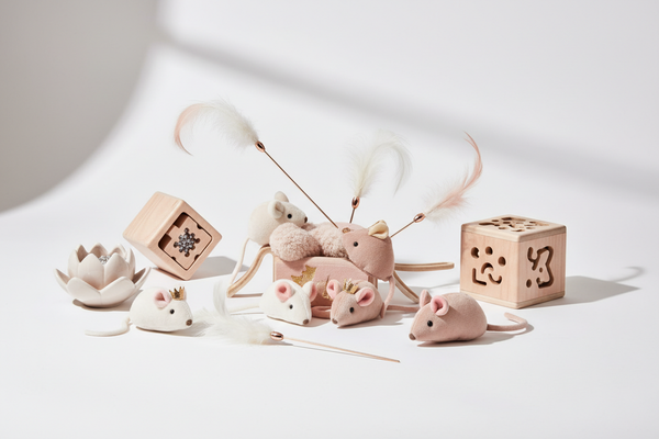 Cat Toys