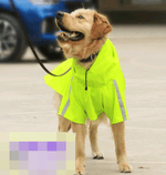 Waterproof Reflective Dog Raincoat
