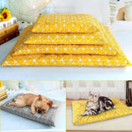Plush Paws Luxury Dog Bed House