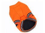 Halloween Pumpkin Dog Costume