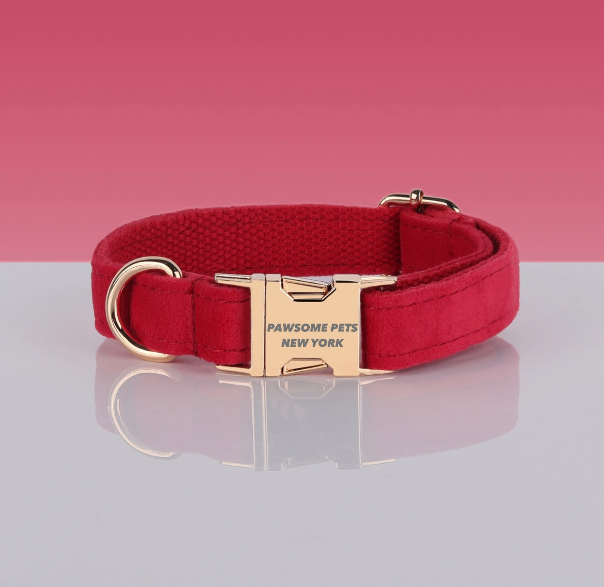 PAWSOME DOG COLLAR - #23