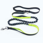 Ultimate Freedom Dog Leash: The Perfect Companion For Active Dogs