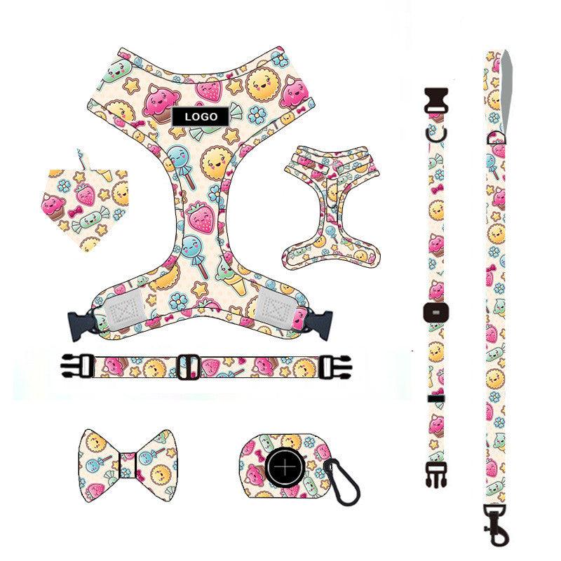Pet Adventure Leash Set