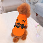 Halloween Pumpkin Dog Costume