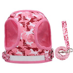 Reflective Adventure Pet Harness With Printed Leash