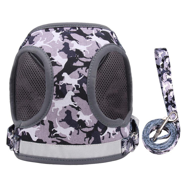 Reflective Adventure Pet Harness With Printed Leash
