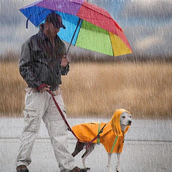 Waterproof Reflective Dog Raincoat