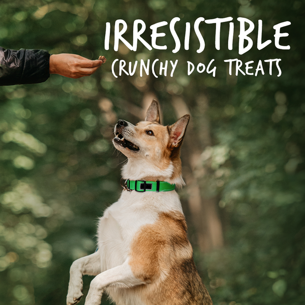 Fruitables Pumpkin & Apple Mix Dog Treats (8x7 Oz) - view 2