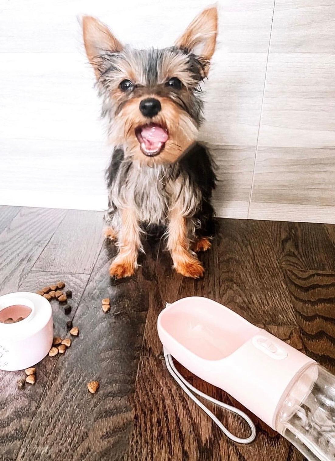 2 IN 1 PORTABLE PET FEEDER - PINK