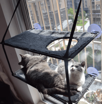 Cat Window Hammock Bed with Super Suction Cups - Removable & Washable Perch | Space-Saving