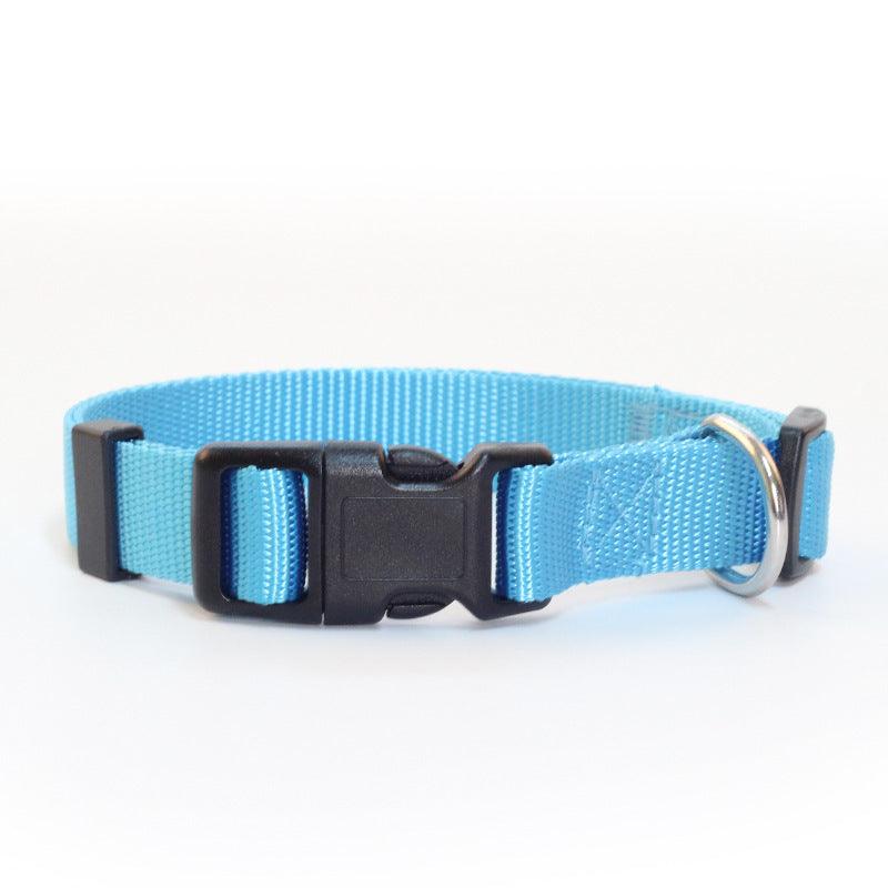 Ultra-Strong Nylon Dog Collar: The Perfect Traction Companion