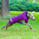 Reflective Nylon Dog Raincoat