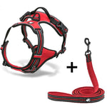 Ultimate Canine Comfort Harness