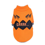 Halloween Pumpkin Dog Costume