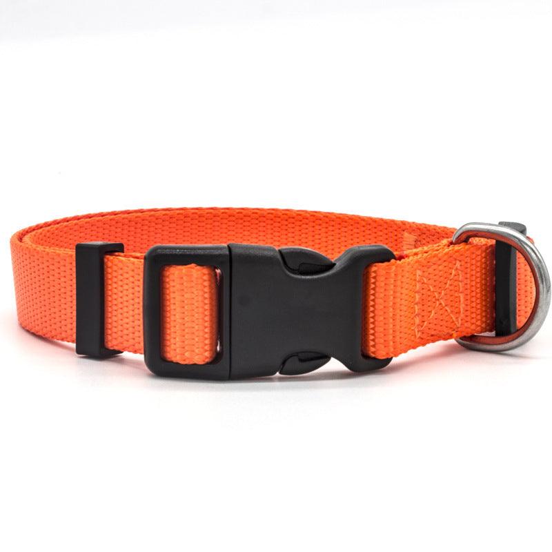 Ultra-Strong Nylon Dog Collar: The Perfect Traction Companion
