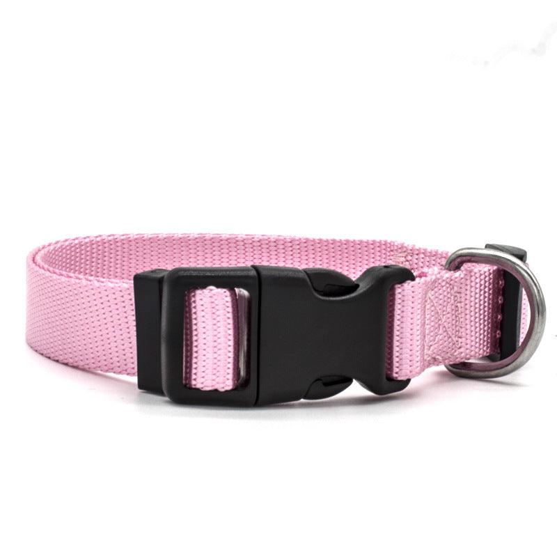 Ultra-Strong Nylon Dog Collar: The Perfect Traction Companion