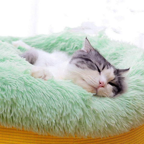 Luxury Plush Winter Pet Bed