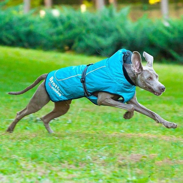 Reflective Nylon Dog Raincoat
