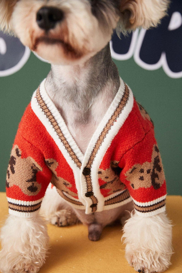 Preppy Paws Striped Pet Sweater