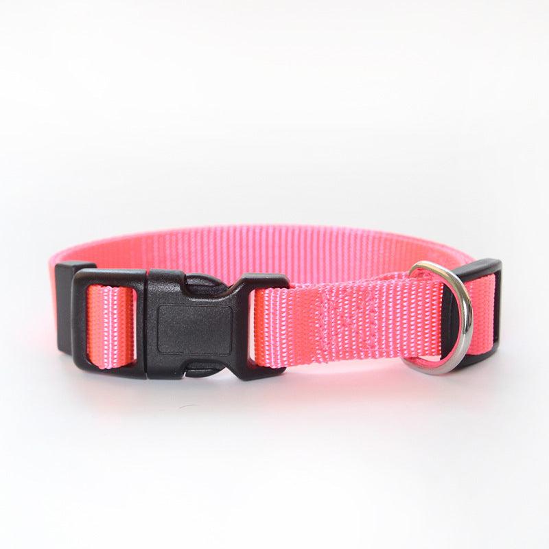 Ultra-Strong Nylon Dog Collar: The Perfect Traction Companion