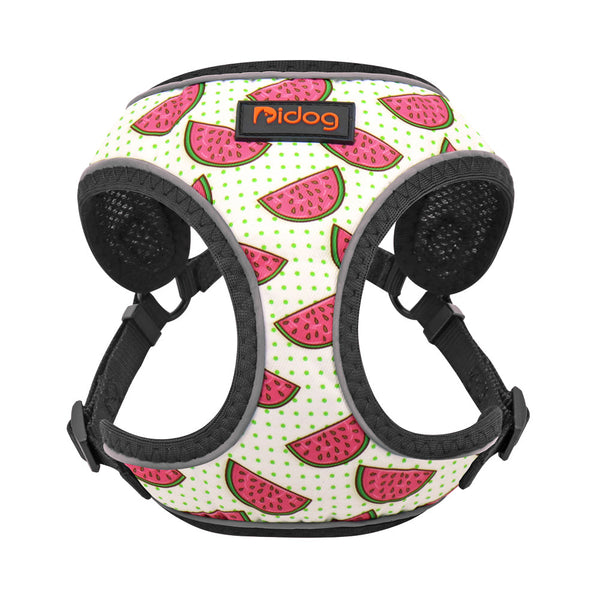 Dog Leash Vest