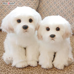Maltese Dog Plush