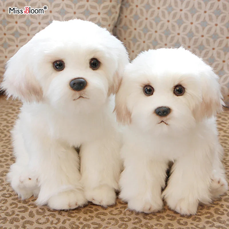 Maltese Dog Plush