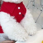 New Pet Dog Polo Shirt for Small Dogs-6