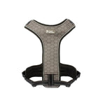 Adventure Paws Dog Harness And Leash Set