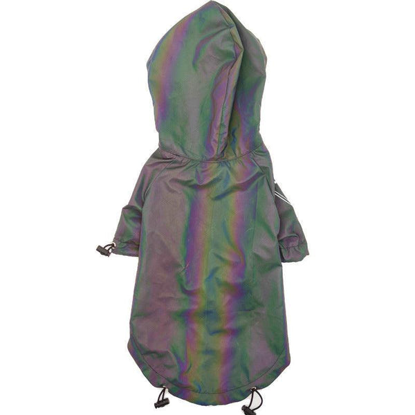 Autumn Symphony Dog Jacket