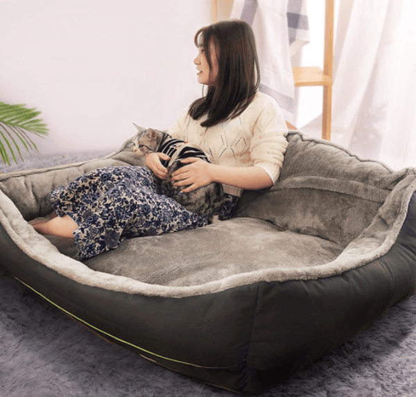 Luxury Plush Sofa Dog Bed