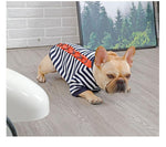 Cozy Canine Cotton Sweater