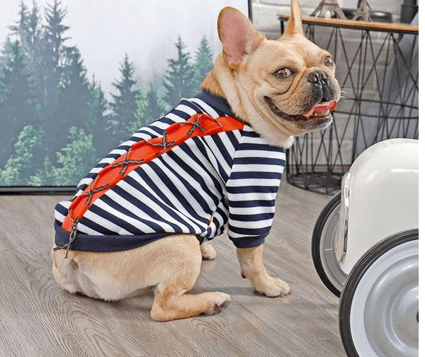 Cozy Canine Cotton Sweater