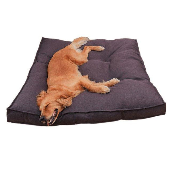 Cozy Canine Cushion - Brown Dog Pillow Bed