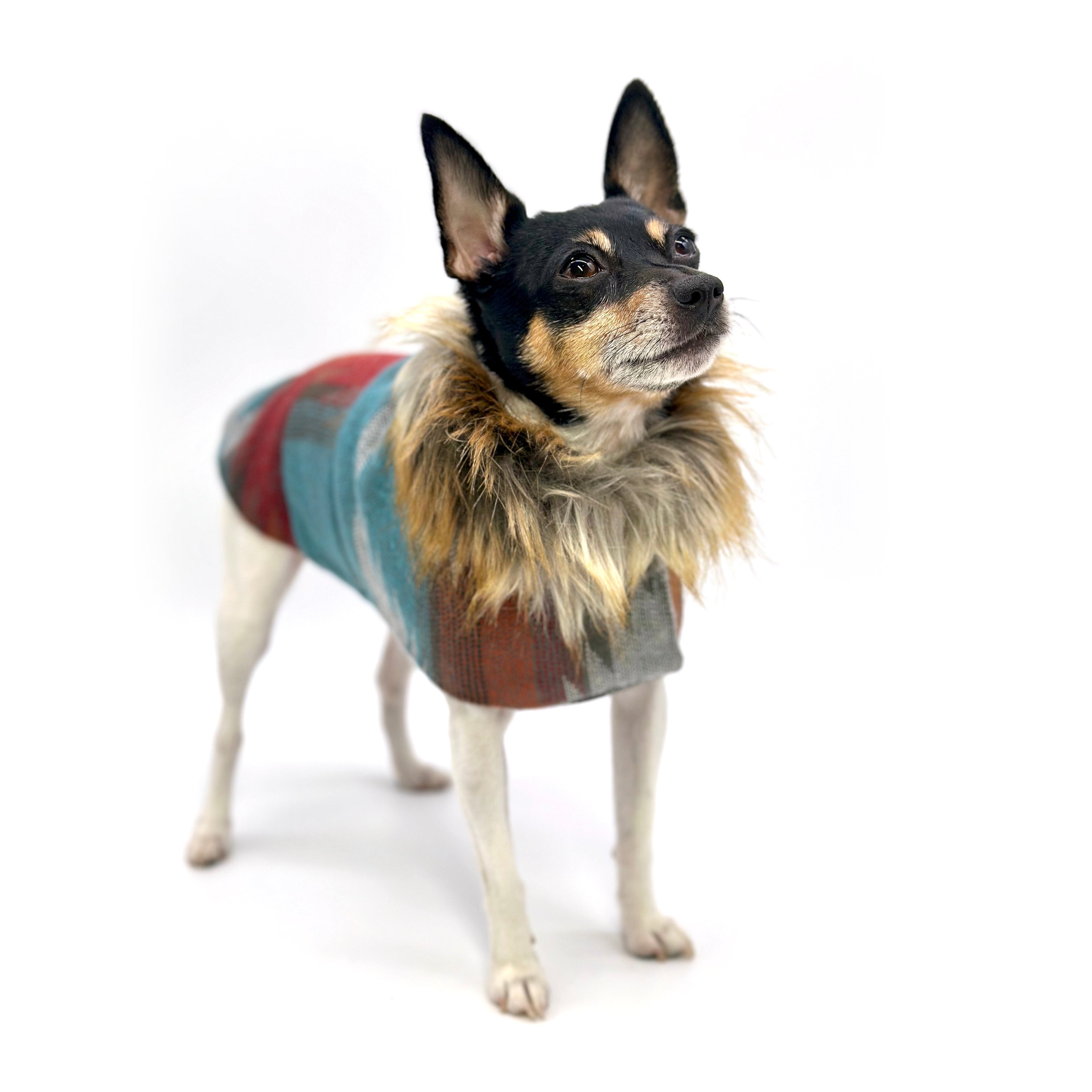 Southwest Dog Jacket - Tapestry Print Coat with Removable Faux Fur Collar