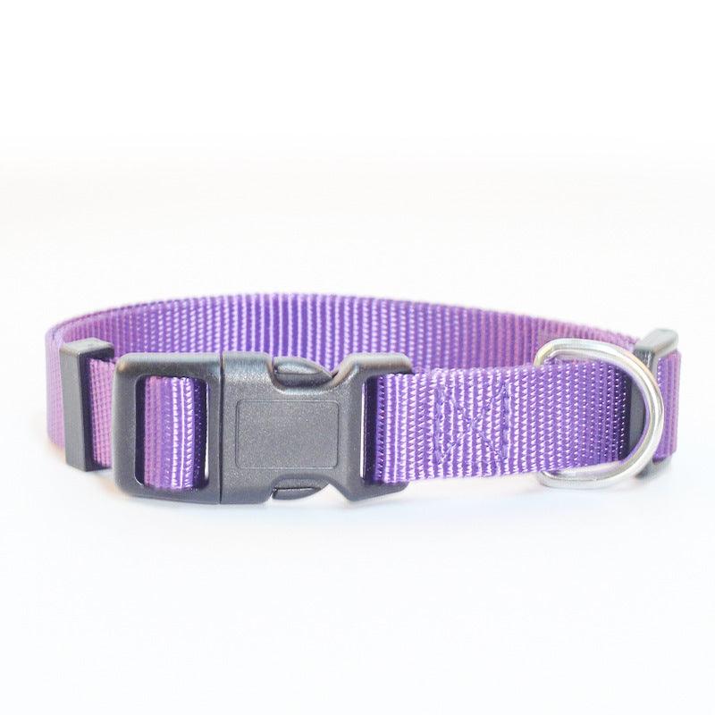 Ultra-Strong Nylon Dog Collar: The Perfect Traction Companion