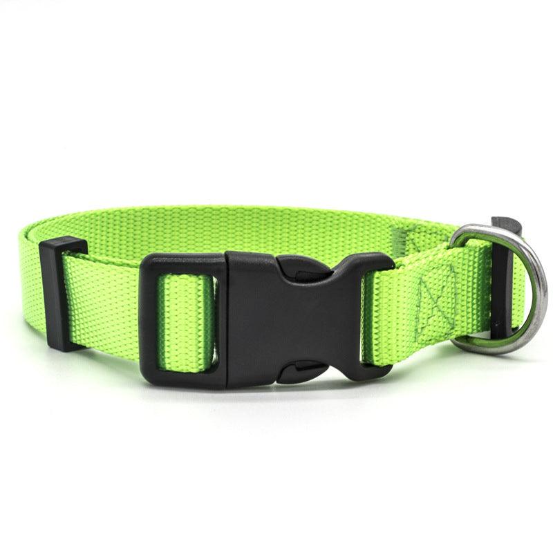 Ultra-Strong Nylon Dog Collar: The Perfect Traction Companion