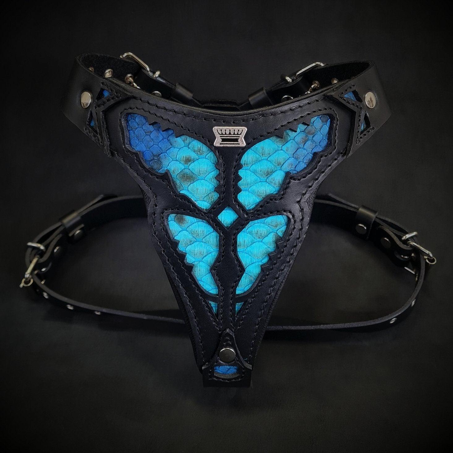 The ''Morelia Python'' harness Medium Size